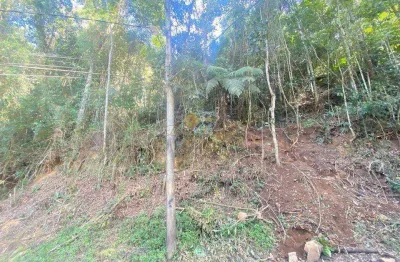 Terreno à venda na Estrada Abelardo da Cunha, 122, Iucas, Teresópolis
