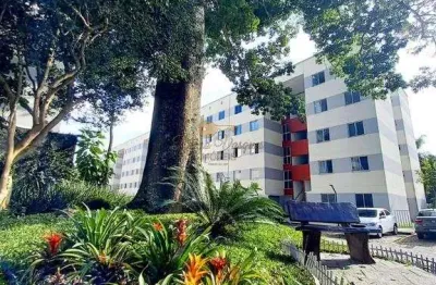 Apartamento para venda em teresópolis, cascata do imbuí, 2 dormitórios, 1 banheiro, 1 vaga