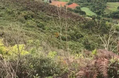 Terreno à venda na Avenida Presidente Costa e Silva, 1000, Centro, Nova Friburgo