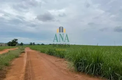 Terreno à venda no Centro, Araraquara 