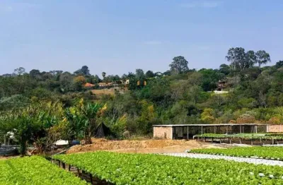 Terreno à venda na R. Dionísio Lopes Padilha, Bacaetava, Iperó