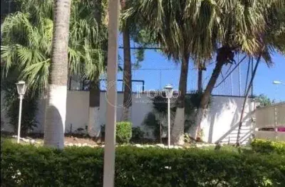 Apartamento com 2 dormitórios à venda, 72 m² por R$ 380.000,00 - Vila Nova Mazzei - São Paulo/SP