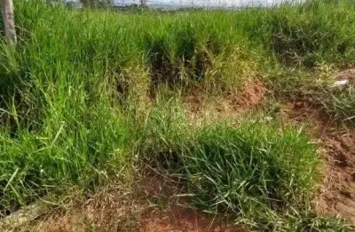 Terreno à venda, 2000 m² por R$ 800.000,00 - Chácara Coqueiro - Itaquaquecetuba/SP