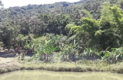 Sítio com 3 dormitórios à venda, 302000 m² por R$ 1.200.000,00 - Centro - Tapiraí/SP