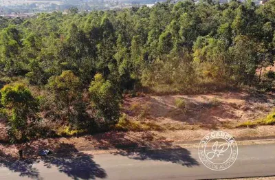 Terreno em condomínio fechado à venda na Alameda das Tarumãs, Condomínio Terras de São José II, Itu