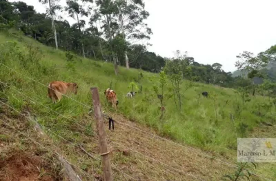 Chacará de 02 quartos sendo 01 suíte em natividade da serra - sp
