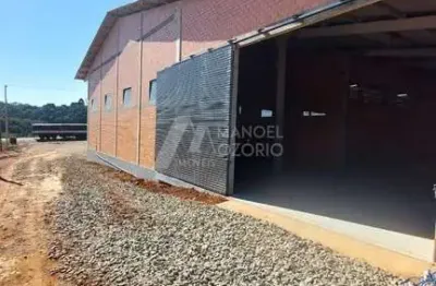 Barracão para locação no centro de araucária, 2 banheiros