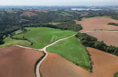 Compre chácara em área rural de araucária.  imóvel rural em araucária/pr.