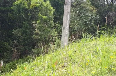 Área industrial com 10.854,33m² , à venda, no bairro contenda em são josé dos pinhais