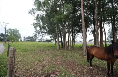 Terreno com 6.085,4m² , para aluguel, no bairro quississana em são josé dos pinhais