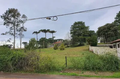 Terreno com 2.000m² , para aluguel, no bairro colônia murici em são josé dos pinhais