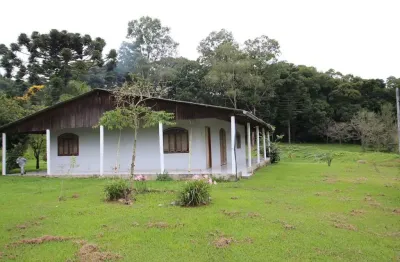 Chácara / sítio com 3 quartos à venda na Rua Ivo Carvalho, Campo Largo da Roseira, São José dos Pinhais