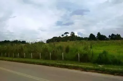 Terreno com 31.915m² , à venda, no bairro afonso pena em são josé dos pinhais