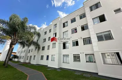 Apartamento com 45,45m² 2 quartos, para aluguel, no bairro afonso pena em são josé dos pinhais