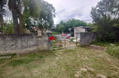 Terreno à venda na Rua Antônio Rocha Barbosa, Bom Jesus, São José dos Pinhais