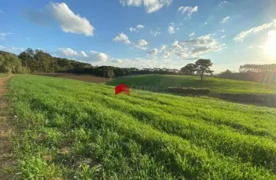 Chácara com 114.345m² , à venda, no bairro colônia murici em são josé dos pinhais