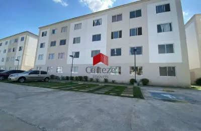Apartamento com 47,68m² 2 quartos, à venda, no bairro parque da fonte em são josé dos pinhais