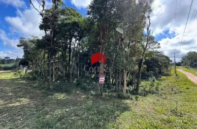 Terreno com 1.144m² , à venda, no bairro borda do campo em são josé dos pinhais