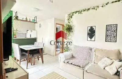 Apartamento com 38,4m² 2 quartos, à venda, no bairro colônia rio grande em são josé dos pinhais