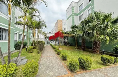 Apartamento com 50,59m² 2 quartos, à venda, no bairro afonso pena em são josé dos pinhais