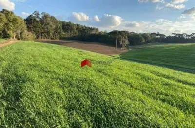 Chácara com 57.172,5m² , à venda, no bairro colônia murici em são josé dos pinhais