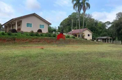 Chácara em área rural com 8.233,67 m² à venda, Aréia Branca do Assis - Mandirituba/PR