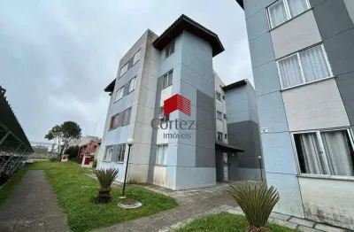 Apartamento com 47m² 2 quartos, para aluguel, no bairro colônia rio grande em são josé dos pinhais