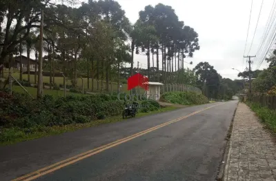 Terreno com 66.000m² , à venda, no bairro ferraria em campo largo