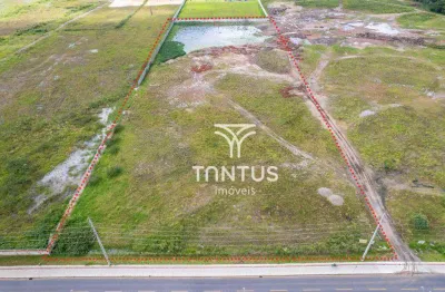 Terreno para alugar, 30.816 m² por r$ 61.632,00/mês - ipê - são josé dos pinhais/pr