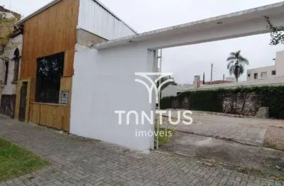 Terreno para alugar, 528 m² por r$ 4.250,00/mês - juvevê - curitiba/pr