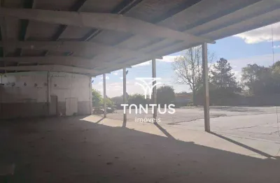 Terreno para alugar, 2150 m² por r$ 9.000,00/mês - cidade industrial - curitiba/pr