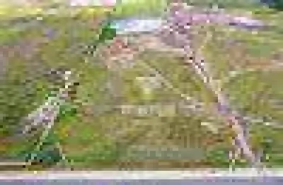 Terreno para alugar, 6696 m² por r$ 27.000,00/mês - ipê - são josé dos pinhais/pr