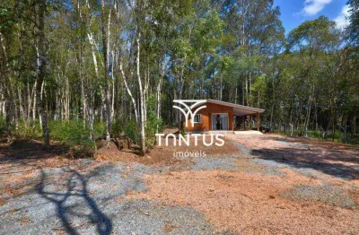 Chácara com 2 dormitórios para alugar, 3372 m² por r$ 1.800,00/mês - roseira - colombo/pr