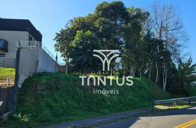 Terreno à venda, 507 m² por r$ 189.900,00 - nossa senhora das graças - quatro barras/pr