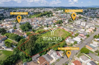 Terreno à venda, 6868 m² por r$ 1.900.000,00 - osasco - colombo/pr