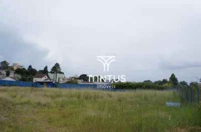 Terreno à venda, 3682 m² por R$ 4.000.000,00 - Tingui - Curitiba/PR