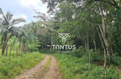 Terreno à venda, 21196 m² por r$ 170.000,00 - sambaqui - morretes/pr