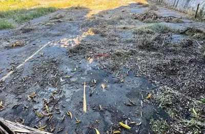 Terreno comercial para alugar no Parque 10 de Novembro, Manaus 