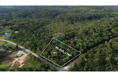 Terreno comercial à venda no Tarumã-Açu, Manaus 