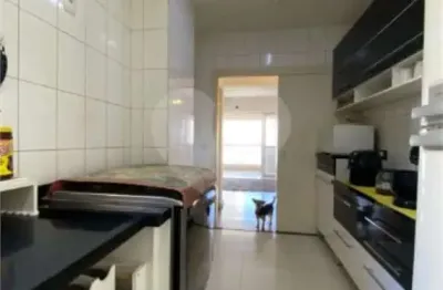 Apartamento à venda com 3 quartos, sendo 1 suíte,  no condomínio fine, são paulo - sp