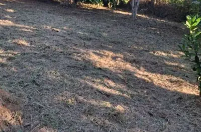 Terreno à venda na Vila Velha II, Taubaté 