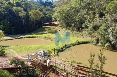 Chácara / sítio com 3 quartos à venda no Morro Azul, Paraibuna 