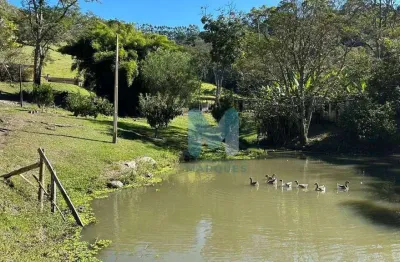 Chácara / sítio com 3 quartos à venda no Cedro Alto, São Luiz do Paraitinga 