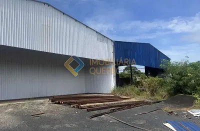 Barracão / galpão / depósito para alugar na rua campos do jordão, jardim salgado filho, ribeirão preto, 800 m2 por r$ 12.000