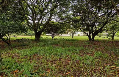 Chácara / sítio com 2 quartos à venda na rua sebastião wenceslau pinheiro, 455, loteamento chácaras vale das garças, campinas, 75 m2 por r$ 550.000