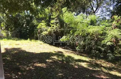 Terreno em condomínio fechado à venda na rua san conrado, 149, loteamento caminhos de san conrado (sousas), campinas por r$ 800.000