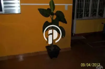 Casa térrea para venda no bairro capuava, 2 dorm, 3 vagas, 150 mts de área construída, plana