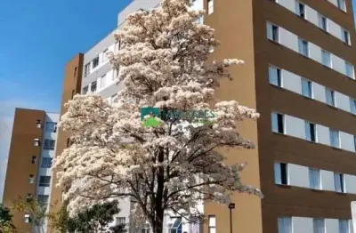 Apartamento em condomínio para venda no bairro vila zefira, 2 dorm, 1 vagas, 48 m²