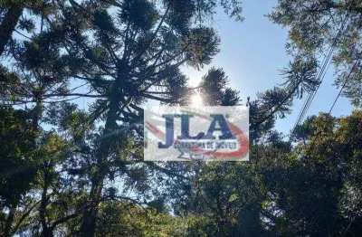 Terreno à venda, 3000 m² por r$ 1.090.000 - campininha - quatro barras/pr