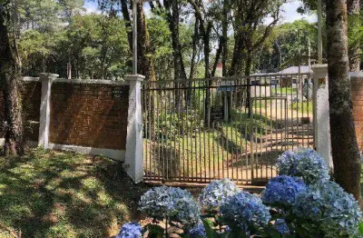 Terreno à venda, 2500 m² por r$ 890.000,00 - campininha - quatro barras/pr